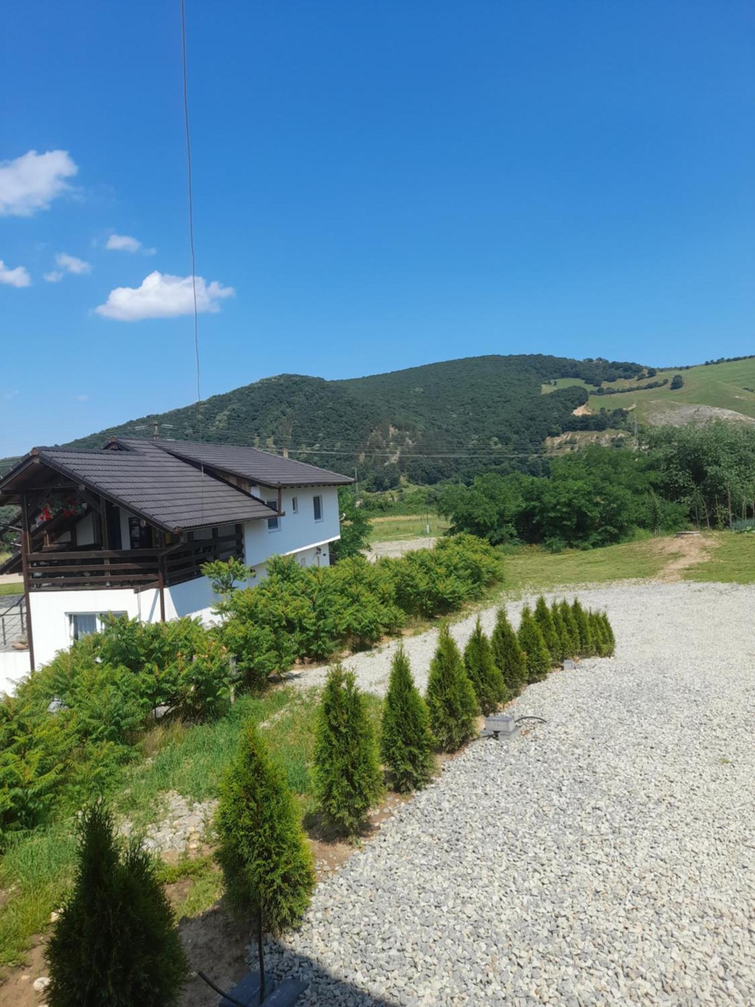 A Frame 1 Transalpina Camping Petresti