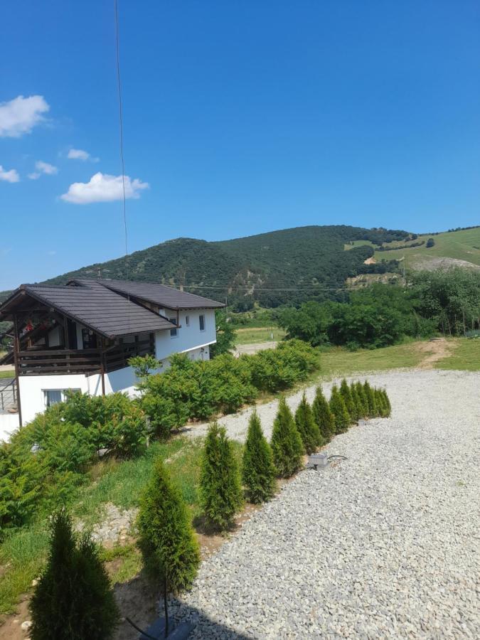 A Frame 1 Transalpina Camping Petresti