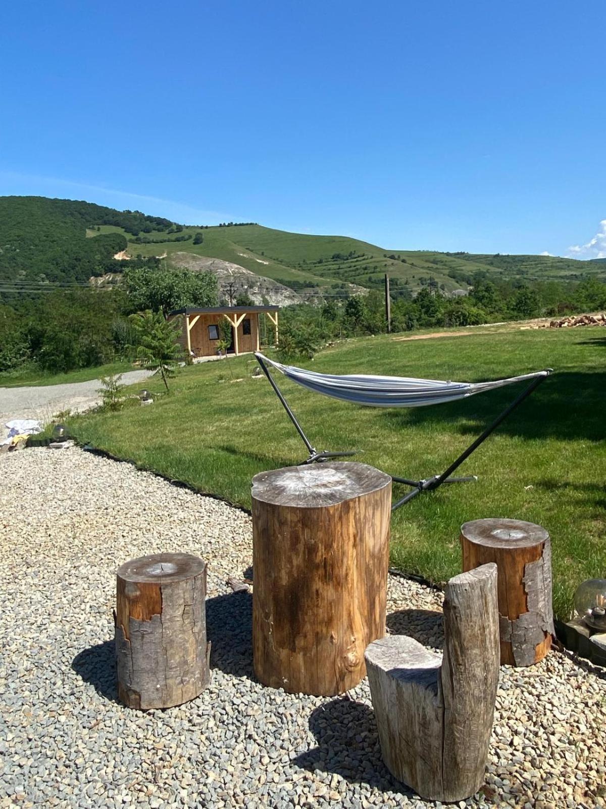 A Frame 1 Transalpina *